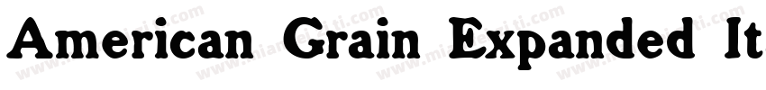 American Grain Expanded Italic字体转换